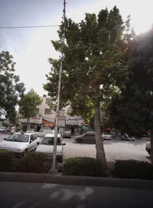 ابزار پارسیان