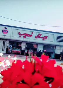بستنی مصیب نی ریز