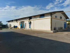 شرکت نان بهاره