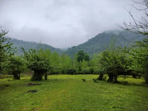 آبشار ترز