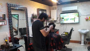 پیرایش سامان حکمیان