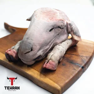 طباخی سحر