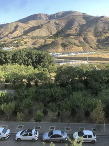 بوستان الهیه