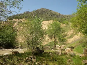 چشمه نیلبرگ