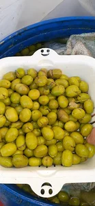 زیتون فروشی حاجی