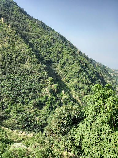 مديرية رازح