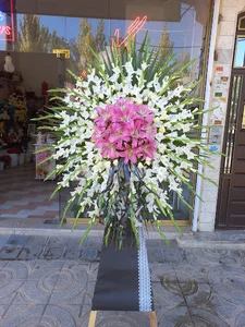 گلفروشی اطلسی