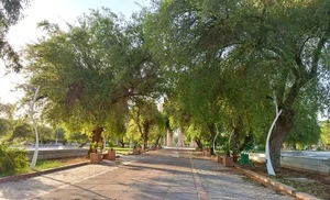 بوستان شیخ انصاری 5