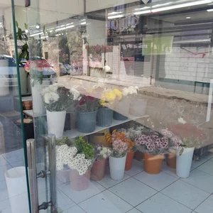 گلسرای دورقی 3