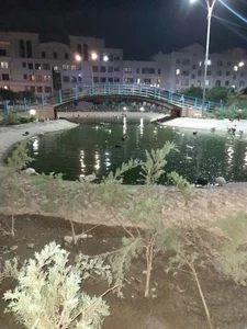 بوستان پرندگان 2