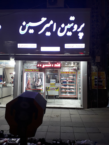 پروتئین امیر حسین