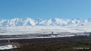 رستوران لندو