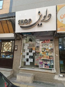 دلوین شاپ