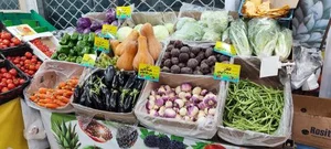 میوه سرای آقای با انصاف 2