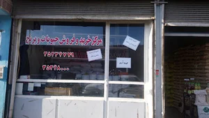 فروشگاه مرکزی آسان پخش