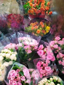 عمده فروشی گل رز