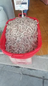 ماهی و میگو فضیلت 5