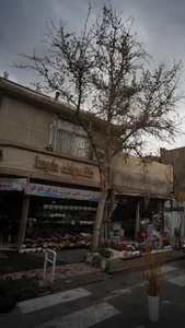 Golsaraye sheida گل شیدا 5