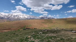 طبیعت زیبا