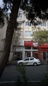 دکتر فروزان برابی