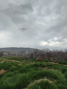 زمین خاکی فوتبال و بیسبال