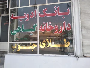 ادویه طلای جنوب