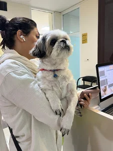 Atlas Vet Clinic کلینیک دامپزشکی اطلس وت