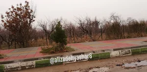 پارک بانوان شهید مرشدی ملارد