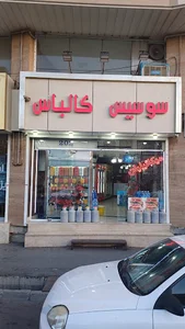 پروتئینی میکائیلیان