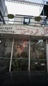 گل فروشی سلدا 3