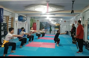 باشگاه رزمی عملیاتی رعد