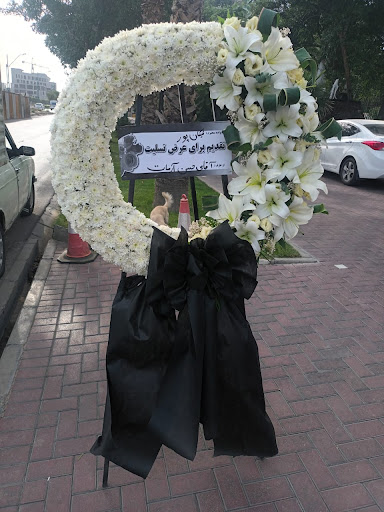 گل و گیاه اوپال
