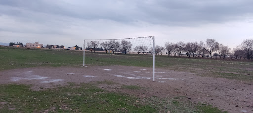 زمین والیبال شینقر