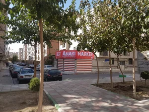 پارک ارغوان
