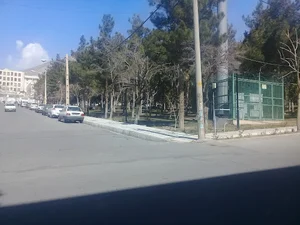 بوستان میخک