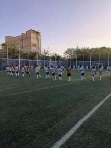 فنس والیبال کال
