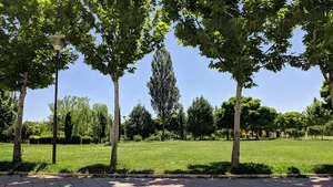 بوستان پامچال