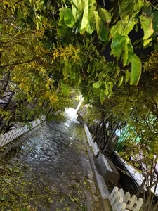 کافه رستوران و سفره خانه سنتی بهارستان 5