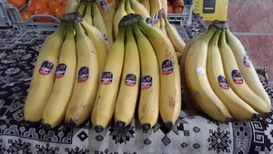 میوه فروشی چهار فصل