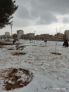 فضای سبز