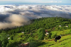 استان آذربایجان شرقی