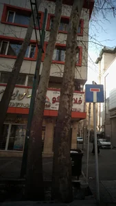 شرکت خدمات مسافرت هوایی فلامینگو افق سیر