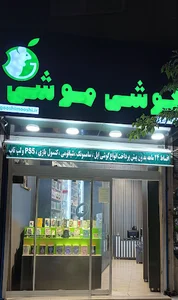 گوشی موشی