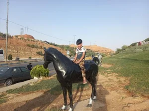 پارک دانشجو 2
