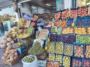 میوه سرای نارنج 3