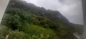 تالار ناسیونال شعبه ی دوم