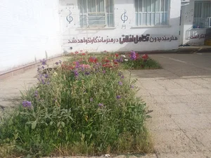 آموزشگاه موسیقی بامداد