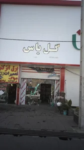 گل یاس 2