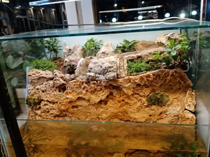 گالری طبیعت 5
