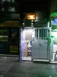 خدمات کامپیوتر شادمان